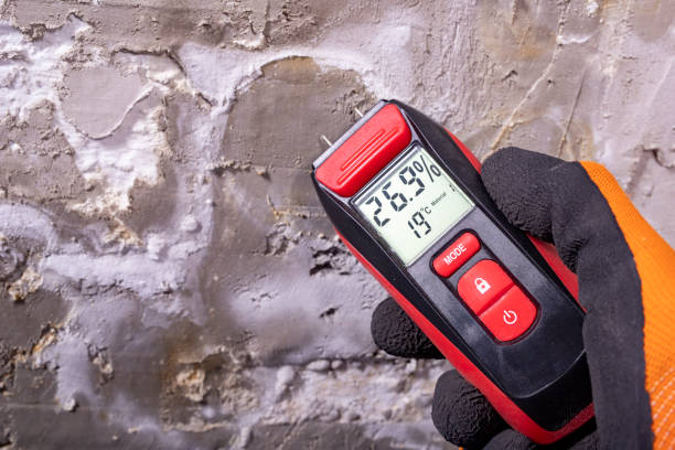 Best Commercial Mold Removal  in Ewa Villages, HI